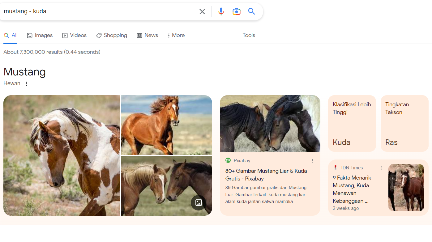 Keyword Yang Memudahkan Kamu Saat Googling 4 3.