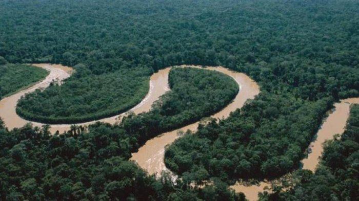 5 Sungai Terbesar di Indonesia yang Dinamai Sesuai Asal Daerahnya 3 sungai mamberamo papua