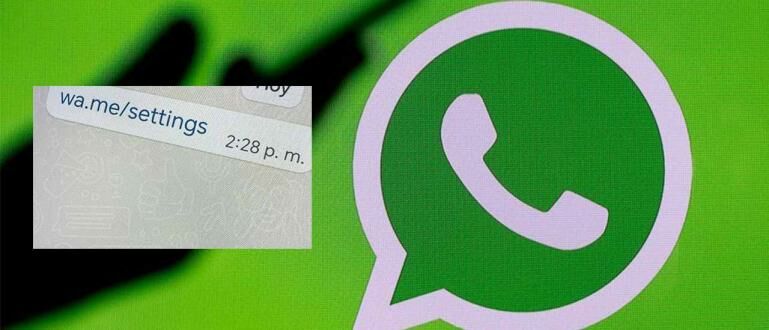 WA Me Settings 350bd