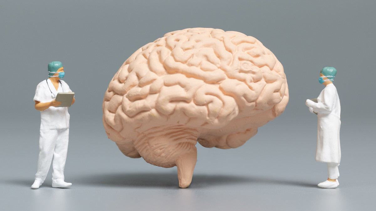 Mengonsumsi Vitamin E Setiap Hari, Apa Yang Akan Terjadi? 4 051017500 1622440622 Nutrisi Penting untuk Otak