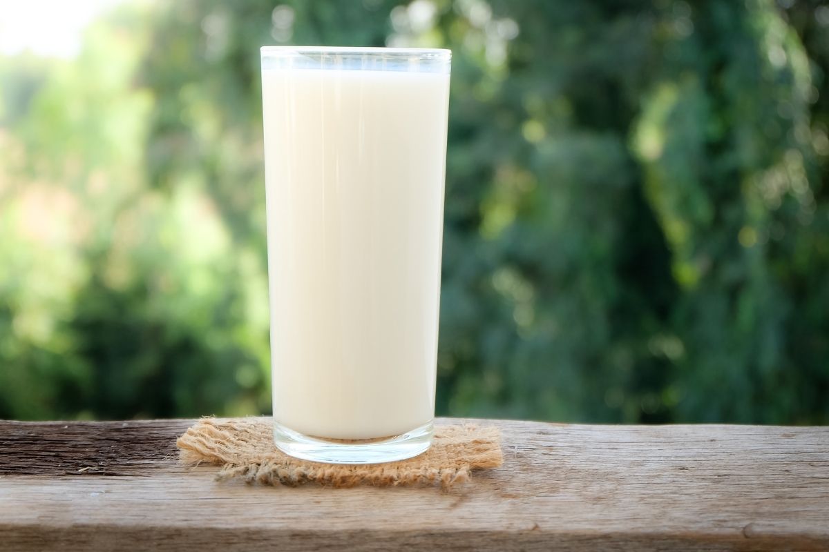 3 Makanan ini Tidak Boleh Dikonsumsi Bersama Dengan Semangka 2 1651820311895 7 merk susu uht paling bagus dan kaya nutrisi
