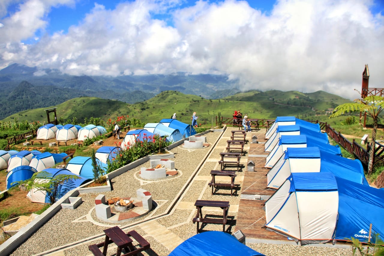 26533aaa 5816 41ce 829d ec46cff9c916