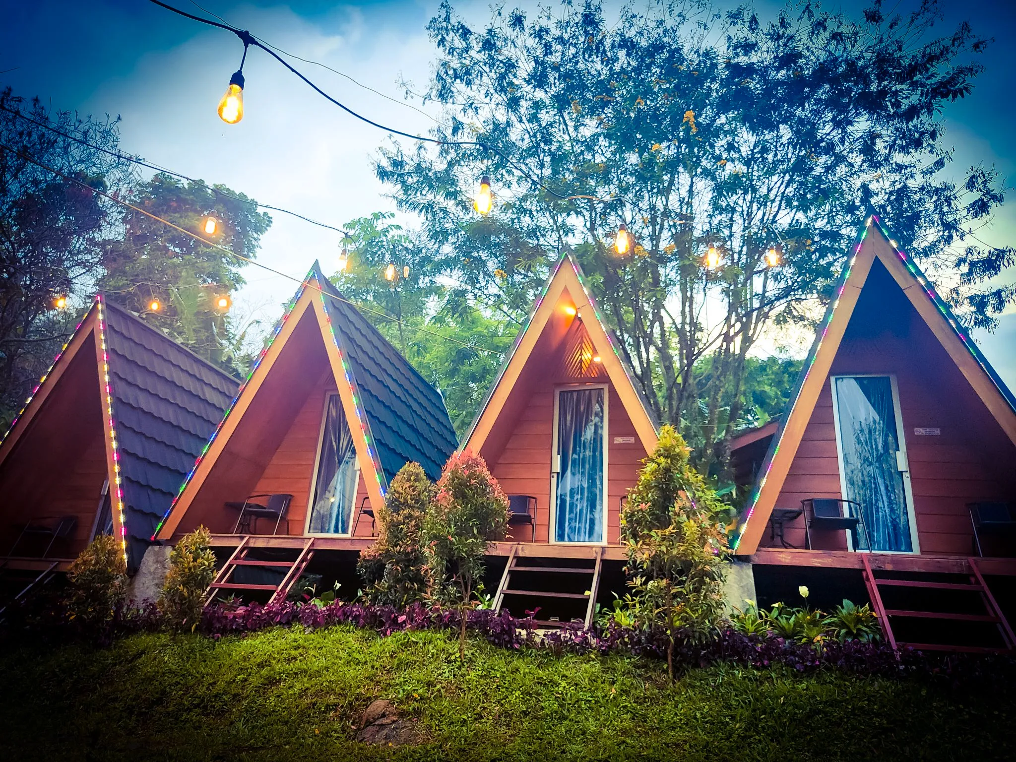 5459ec30 4ba1 423d 9bf5 bbb114d2fce3 1655353485370 ccc2ecfa7726cc8785bec6a253330c1d