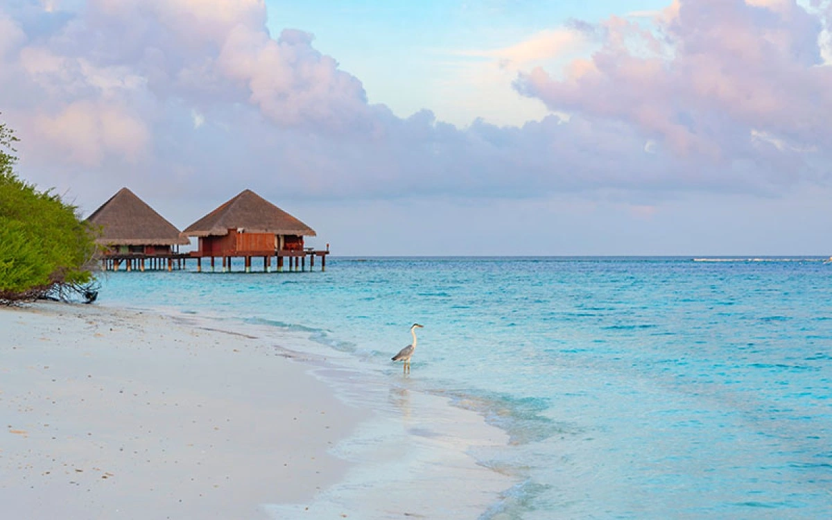 Negara Maldives dengan Penduduk 100 Persen Muslim 5 0600aefeb55256b1fb7021987067c3f1 XL