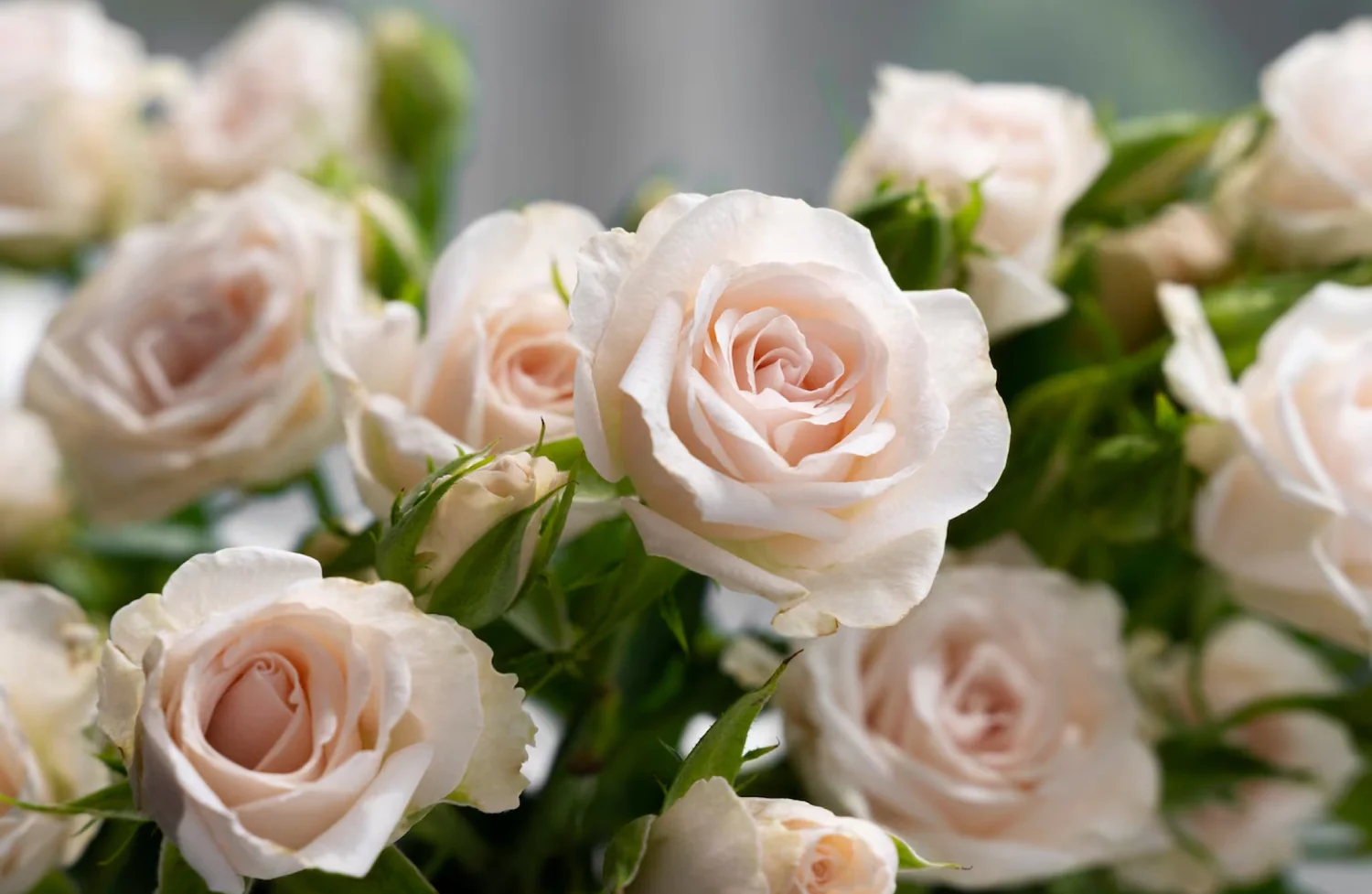 7 Rekomendasi Hampers Lebaran Untuk Di Berikan Ke Saudara Maupun Teman 5