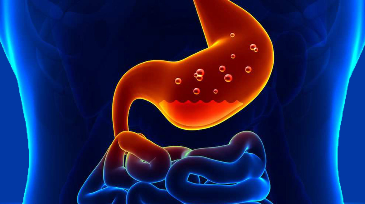 Fungsi dan Cara Kerja Sistem Pencernaan Pada Manusia! 6 Beda Sakit Maag dan Asam Lambung