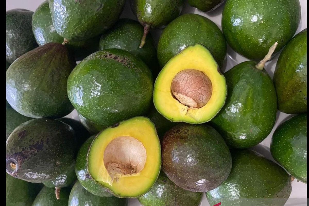 WhatsApp Image 2023 02 25 at 17.36.46