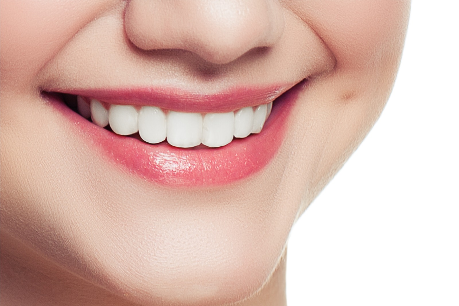 Fungsi dan Cara Kerja Sistem Pencernaan Pada Manusia! 3 WhatsApp Image 2023 04 03 at 09.26.11 1