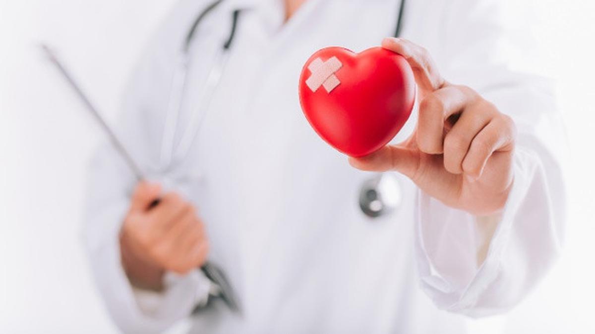 Dapat Meningkatkan Kesehatan Otak! 4 Khasiat Pakai Minyak Zaitun untuk Memasak 4 090908600 1604645127 world health day healthcare medical concept female doctor with stethoscope holding heart 38391 1020 1