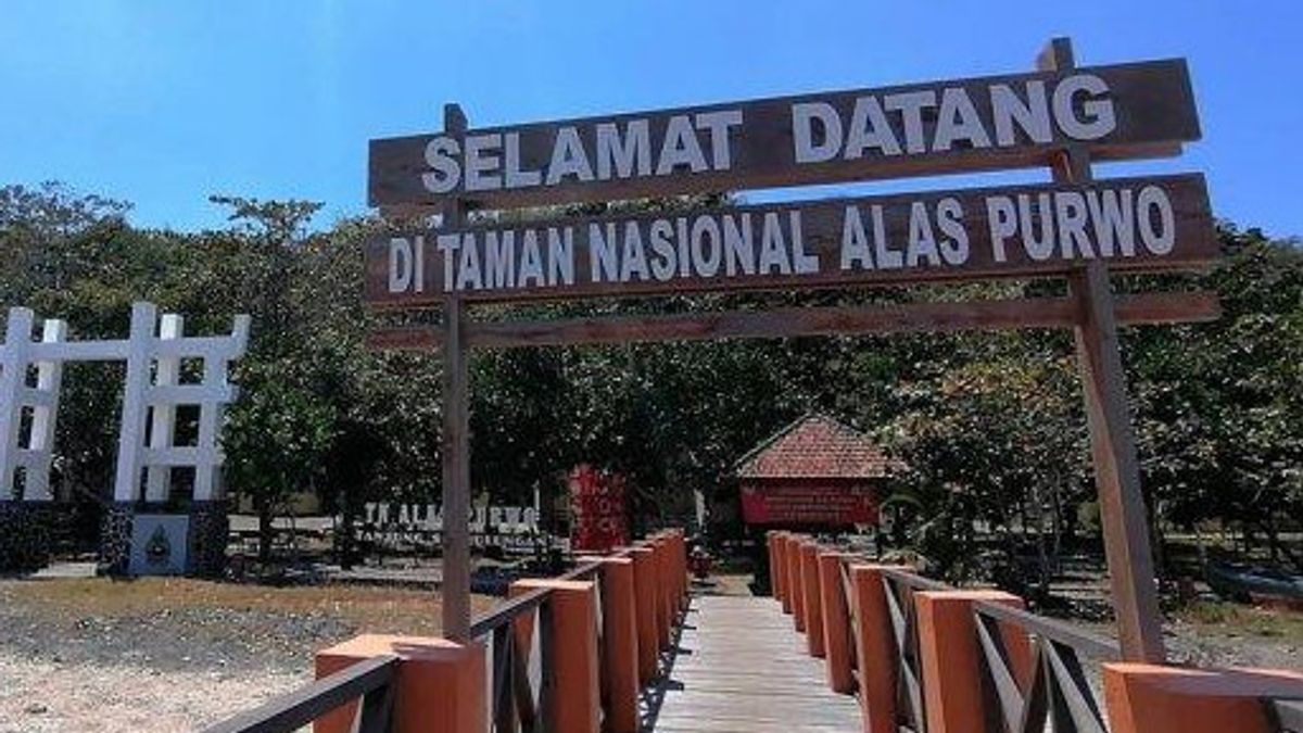 6 Rekomendasi Destinasi Wisata Alam yang Wajib Kamu Kunjungi di Banyuwangi 4 202302252339 main.cropped 1677343190