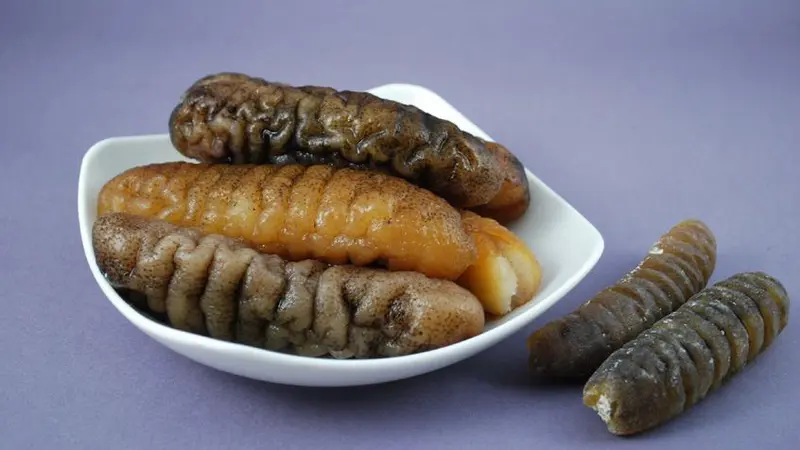 7 Rekomendasi Herbal ala dr Zaidul Akbar untuk Redakan Kolesterol-Diabetes 2 074323500 1504155116 5 Manfaat Teripang untuk Kesehatan Tubuh