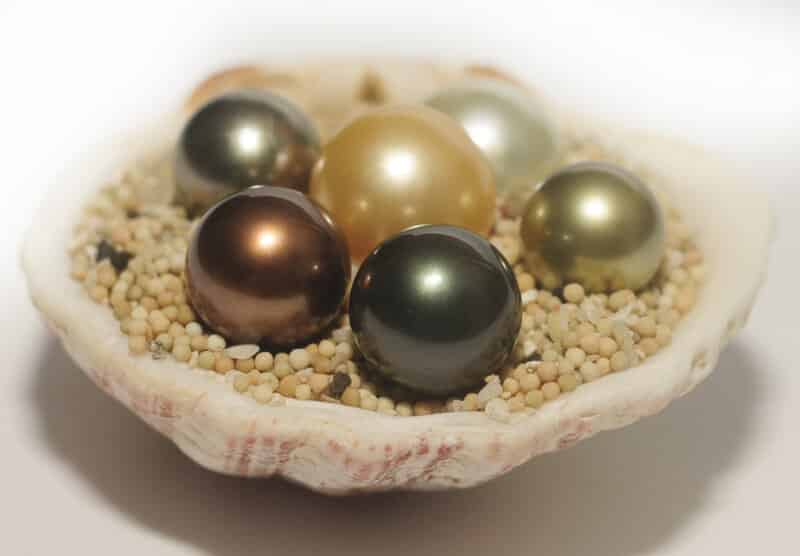 Bukan Hanya Makanan, Papua Juga Memiliki Oleh-Oleh Yang Khas Untuk Pelancong 7 Mutiara