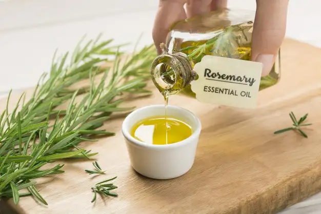 Viral di Tiktok, Apakah Benar Rosemarry Oil Bagus Untuk Rambut Rontok? 4 manfaat minyak rosemary.width 800.format webp