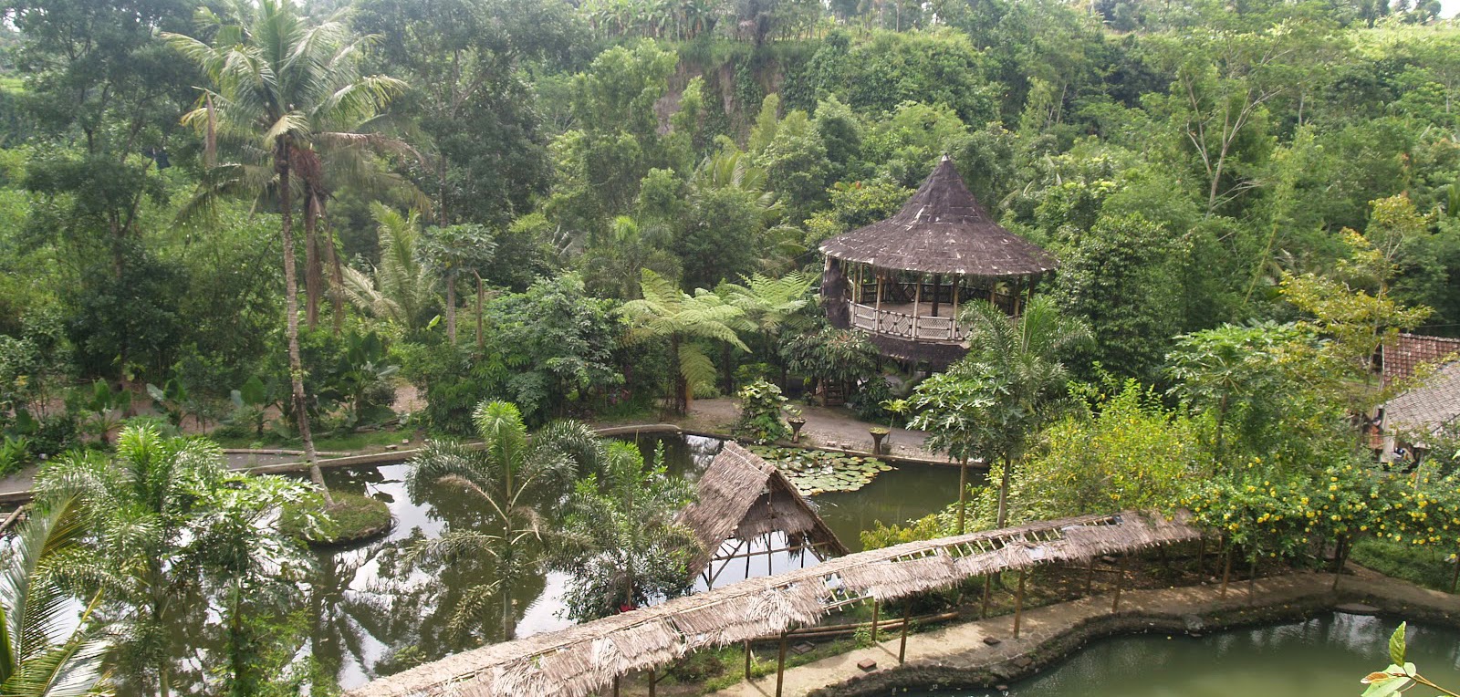 pentingsari
