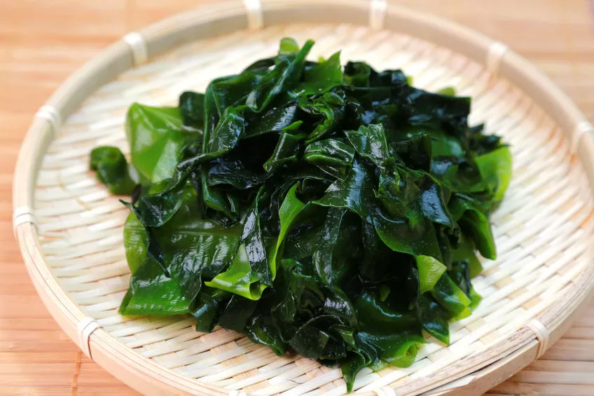 Ingin Sehat dan Berumur Panjang? Yuk Ikuti Tips Diet ala Orang Jepang 3 068762500 1543906773 Konsumsi Rumput Laut untuk Tubuh Lebih Sehat By YASUHIRO AMANO 123rf