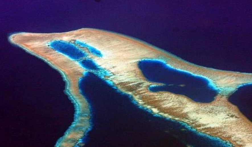 25a9892872f8c0ab2d7b87b68d14d4cf