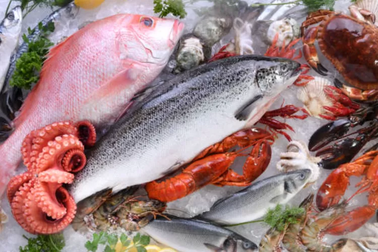 Ingin Sehat dan Berumur Panjang? Yuk Ikuti Tips Diet ala Orang Jepang 5 3 manfaat konsumsi ikan laut yang sayang dilewatkan22