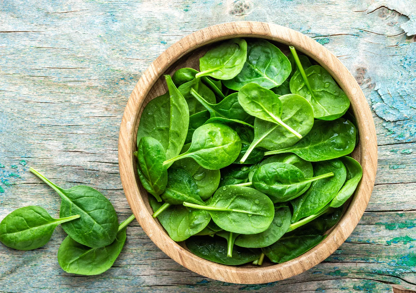 Tak Hanya Lezat Ini X Manfaat Bayam bagi Kesehatan Tubuh 01.jpg