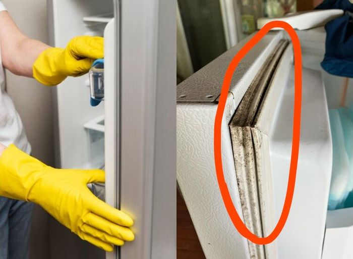 cara bersihkan karet kulkasjpg 20230502114138