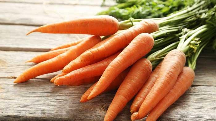 ilustrasi wortel sumber vitamin a