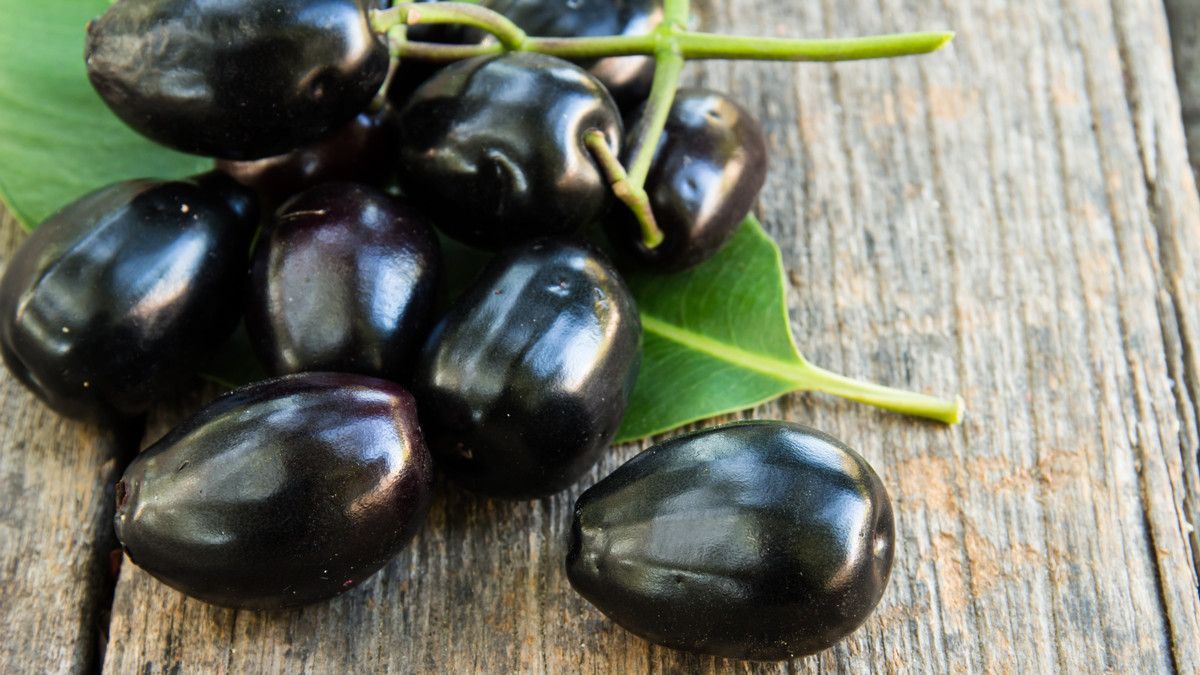 073158600 1574606780 Beragam Manfaat Buah Jamblang yang Jarang Diketahui By Namning Shutterstock 194362916