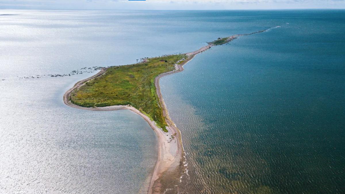 Di Sebut Negara "Serba" Digital, Ini Dia 8 Hal Unik Mengenai Estonia 5 098281100 1612768628 Screenshot 2021 02 08 132504