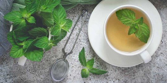 Bye Insomnia! 5 Minuman Ini Ampuh Dalam Mengatasi Sulit Tidur 6 11 manfaat teh peppermint bagi tubuh redakan migrain hingga lawan infeksi bakteri
