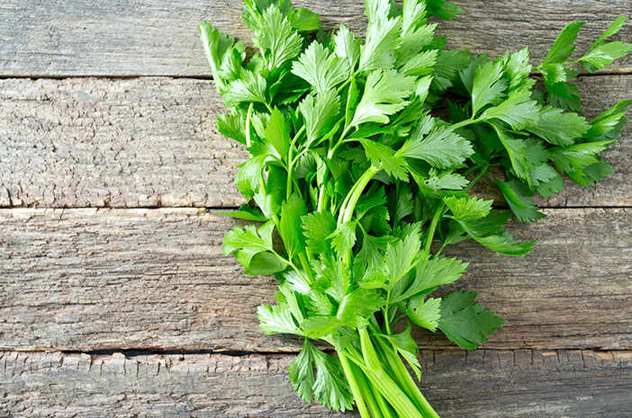 Inilah X Manfaat Daun Seledri untuk Kesehatan