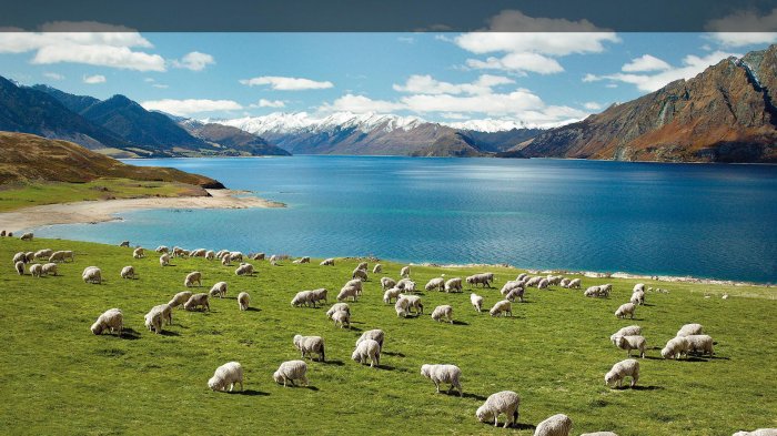 New Zealand