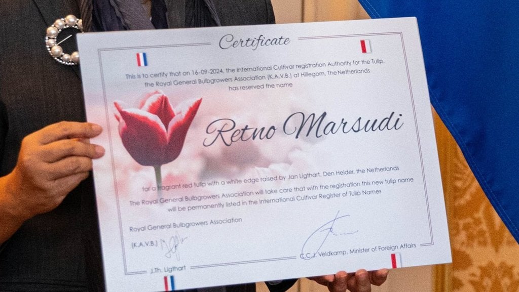Menlu Retno Marsudi Namanya Dijadikan Nama Bunga Tulip Belanda 2 penyerahan sertifikat bunga tulip retno marsudi ratio 16x9 1