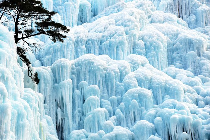 5 Destinasi Wisata Anti-Mainstream di Korea, Cocok untuk Healing dari Hiruk Pikuk Kota 6 8f