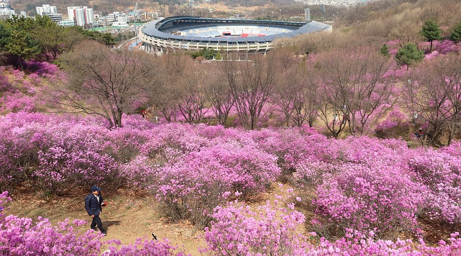 5 Destinasi Wisata Anti-Mainstream di Korea, Cocok untuk Healing dari Hiruk Pikuk Kota 3 caption