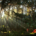 Manfaat Camping di Alam Terbuka 6 highland camp curug panjang 1