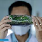 Guru Teladan! Ujang Enoh Mulyadi Berhasil Budidayakan Anggrek Jenis Baru 5 343256228 537831535093756 8067495229721539893 n