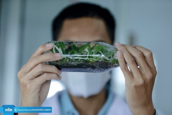 343256228 537831535093756 8067495229721539893 n