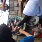 Siswa SMA Negeri 3 Purwokerto Unjuk Kreativitas di Gelar Karya 2023 5 Gelar Karya SMAN 3 Purwokerto 758517848