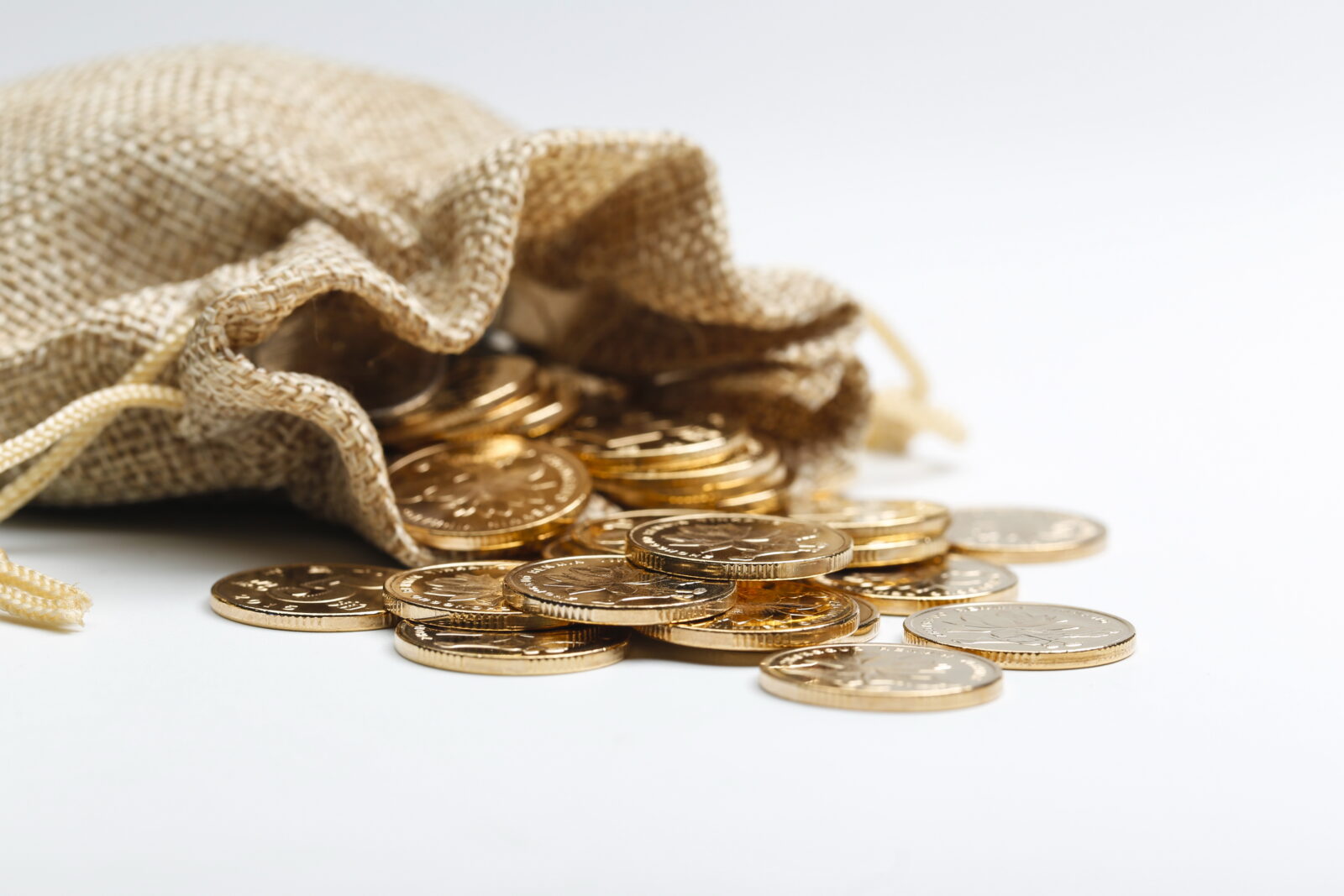 Untung Rugi Investasi Dinar 1 golden rmb coins cloth bag