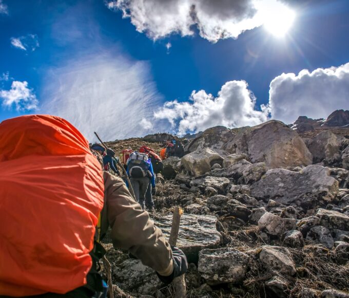 pexels guduru ajay bhargav 1043574