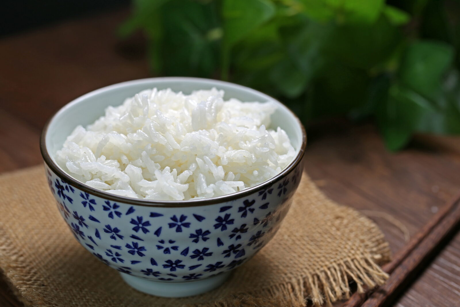 Rendah Gula! Metode Baru Simpan Nasi di Kulkas Bisa Awet Hingga Satu Minggu 1 rice bowl