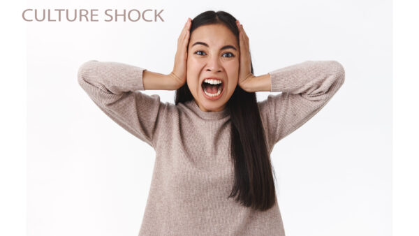 distressed fed up depressed alarmed furious woman losing control having mental breakdown shouting grab head stare camera with pain anger scream furious stand white wall 01