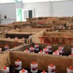 Bung Karno: Kecap Blitar Terenak di Dunia, Benarkah Itu? 3 dsc 0619 m1r65h