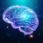 Fungsi Otak Manusia Hanya Aktif 10% Saja, Benarkah? 3 20230701064309 fpdl.in human brain hologram dark background 99433 52 large