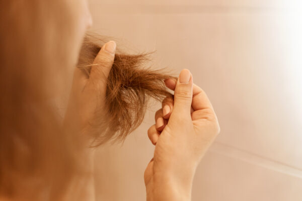 closeup portrait woman hands holding dry damaged hair eds having trichology problem