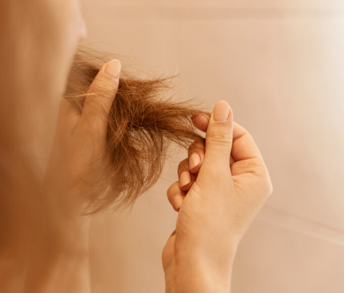closeup portrait woman hands holding dry damaged hair eds having trichology problem