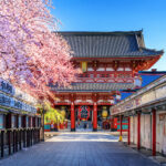 Ingin Bekerja di Jepang? Yuk Simak Jenis-jenis Visa Kerjanya 5 cherry blossoms sensoji temple asakusa tokyo japan