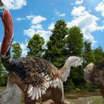 Spesies Baru Dinosaurus Ditemukan di Jepang, Mirip Burung Unta 3 dinasaurus
