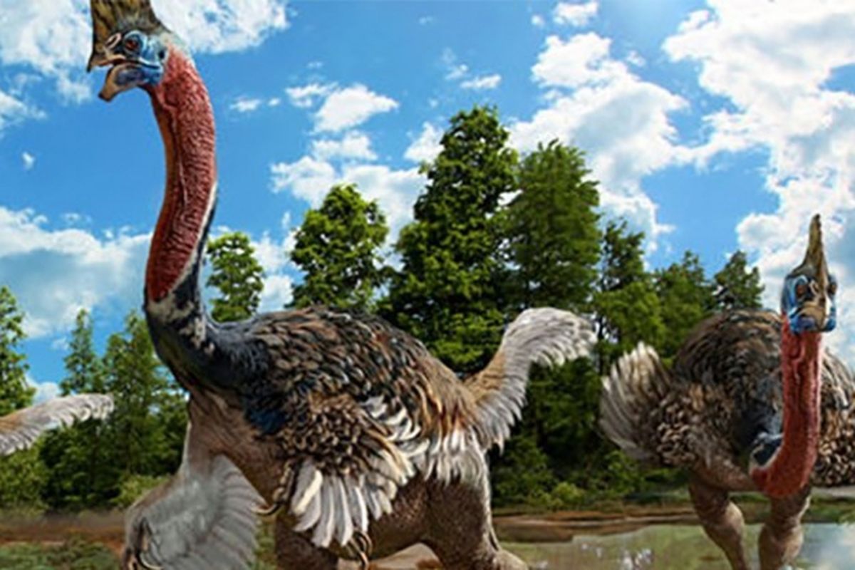 Spesies Baru Dinosaurus Ditemukan di Jepang, Mirip Burung Unta 1 dinasaurus