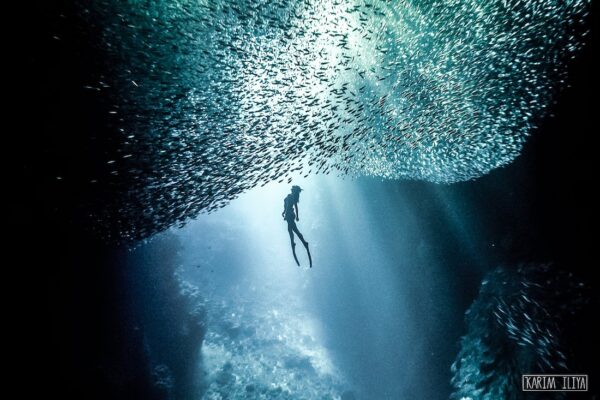 20180906 KARIM ILIYA 3408 copy Smallewr 1