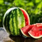 Desain tanpa judul 20231109 164609 0000 2245562228