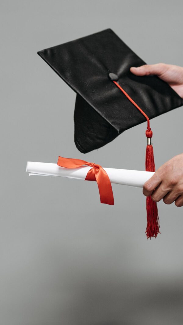 feedImage 2023 9 3 1693696970800 sdjvz